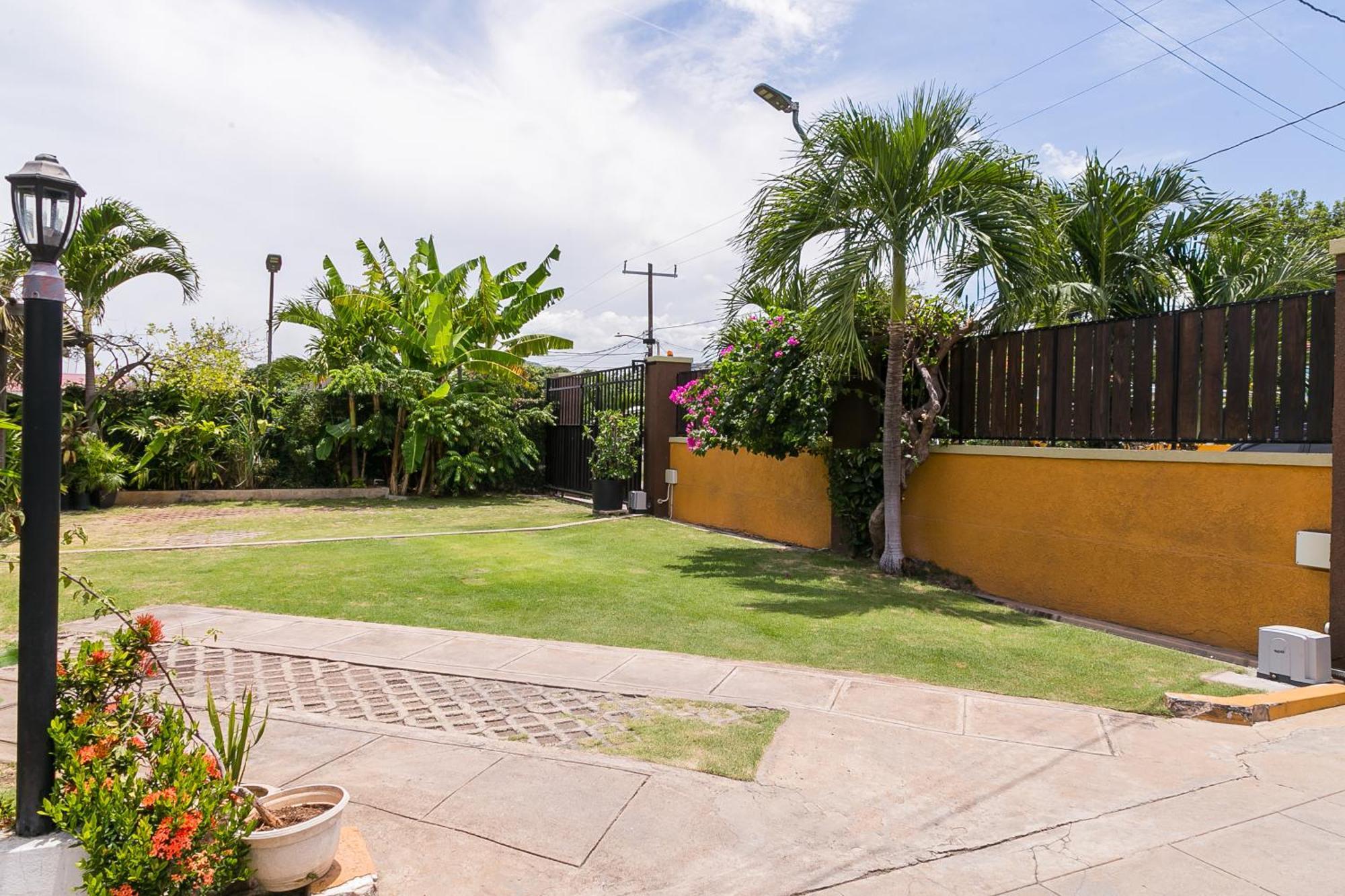 Botanic Bliss Living In Kingston Apartment Exterior foto