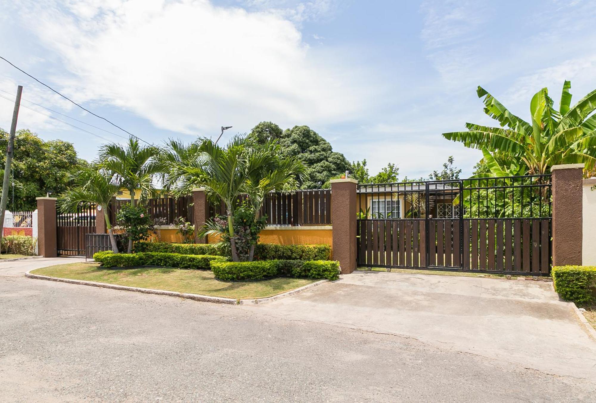 Botanic Bliss Living In Kingston Apartment Exterior foto